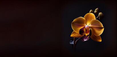 Jaune orchidée fleur dans noir Contexte ai généré photo