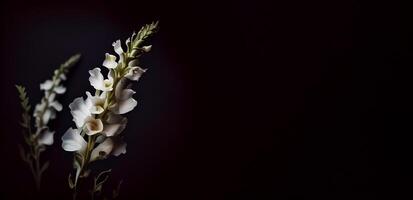 blanc digitale pourprée fleur dans foncé Contexte ai généré photo