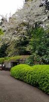 ishimuro pierre cave dans le est jardins de le impérial palais dans Tokyo. photo