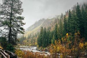 vue sur la montagne brumeuse photo