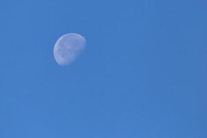 vue sur lune à lumière du jour photo