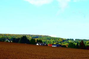 coloré vignobles dans inférieur ah vallée photo