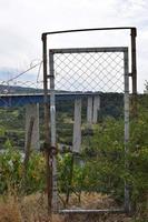 porte à fermé à clé vignes à une pont photo