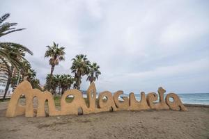 malaga est une Port et bord de mer ville situé sur le Soleil plage sur le méditerranéen côte dans le est de le ibérique péninsule. photo