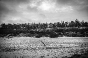 hiver paysage de le plage sur le baltique mer avec neige dans Pologne je photo