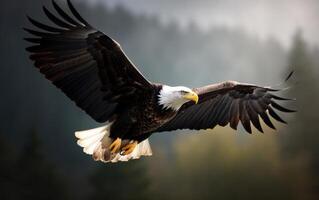 chauve Aigle planant dans le ciel avec ailes propager large. le Contexte est Montagne. génératif ai photo