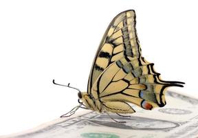 buterfly séance sur un dollar billet de banque photo
