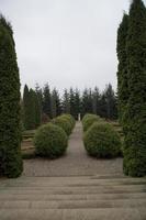 historique parc avec une chemin parmi ornemental à feuilles persistantes arbustes sur une gris l'automne journée photo