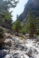 vues dans le montagnes le long de le chemin par le gorge ensoleillé journée. vue de gorge, une gorge dans le montagnes de Grèce, mensonge sur le pistes de montagnes, un de le le plus profond gorges dans le monde. photo