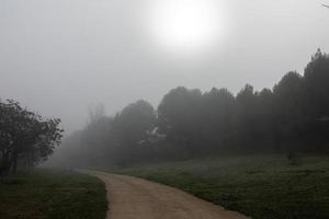 l calme paysage avec route dans brumeux gris hivers journée photo