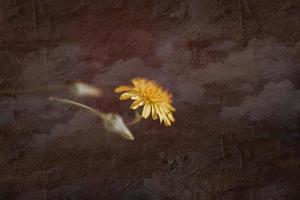 sauvage Jaune fleur de une pissenlit sur un intéressant Contexte photo