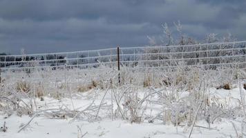 la glace couvert clôture après le orage a réussi photo