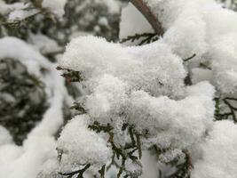 hiver dans le parc paysage Contexte photo