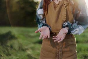 fermer de une femme dans une du jardinier travail tablier contre le vert, Frais été herbe en plein air montrant sa mains photo