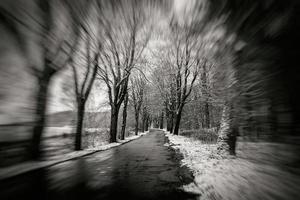 vieux asphalte route parmi des arbres sur une neigeux du froid hiver journée dans Pologne photo