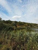 magnifique Lac dans une village près une pin forêt photo