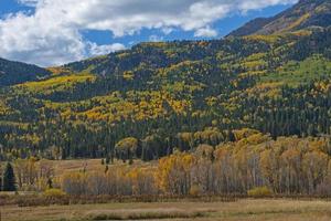 tremble des arbres en changeant sur une Montagne pente photo