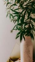 esthétique le plus chaud Accueil composition avec vert feuilles et plante. bohémien rétro couleurs photo