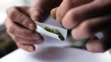L'homme met de l'herbe de cannabis dans du papier de jambage photo
