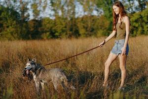 femme et sa rauque chien Heureusement en marchant et fonctionnement dans le herbe dans le champ sourire avec les dents l'automne le coucher du soleil marcher avec une animal de compagnie, en voyageant avec une ami chien bonheur photo