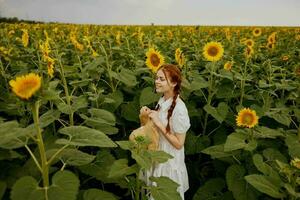 magnifique sucré fille à la recherche dans le tournesol champ inchangé photo