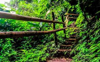 incroyable la nature fond d'écran photo