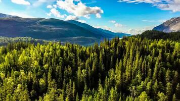 incroyable la nature fond d'écran photo