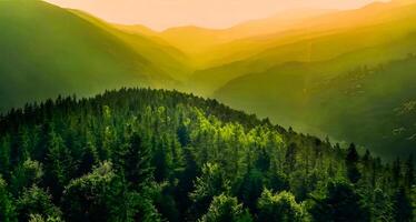 incroyable la nature fond d'écran photo