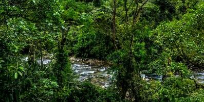 incroyable la nature fond d'écran photo