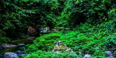 incroyable la nature fond d'écran photo