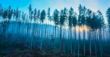 incroyable la nature fond d'écran photo