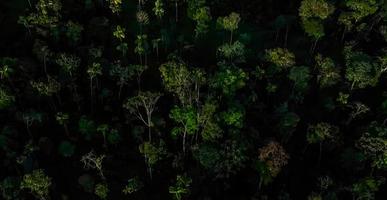 incroyable la nature fond d'écran photo