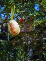 oeufs de pâques sur les arbres. décoration nationale bulgare traditionnelle pour pâques. photo