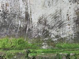 fermer vieux grunge fissure gris béton ou ciment mur texture Contexte avec vert mousse et Roche ou pierre mur à le bas photo