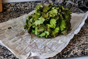 gros biologique vert en bonne santé salade sur le journal dans le cuisine photo