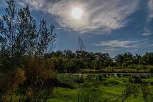 Espagnol paysage par le galicien rivière dans aragon sur une chaud été Soleil journée avec vert des arbres et bleu ciels photo