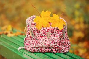 Sac à dos scolaire sur un banc de parc avec des feuilles avec deux feuilles d'érable jaune photo