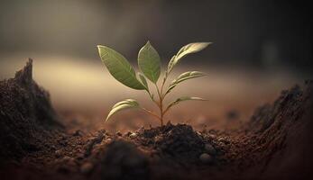 une Jeune plante grandit de le sol. génératif ai photo