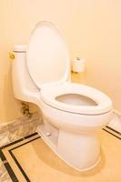 décoration de siège de toilette blanc