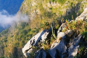 lever du soleil dans Matin avec arbre sur le Roche de Montagne. rayon du soleil avec brouillard et brouillard couverture le jungle colline dans Thaïlande photo