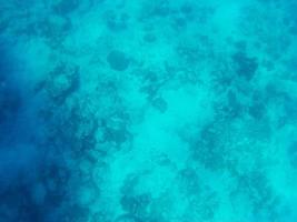 magnifique sous-marin monde de mer, corail récif et poisson plongée et plongée en apnée dans le tropical mer dans Thaïlande photo