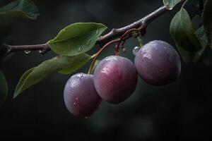 image de doux teintes de le prune sur une branche génératif ai photo