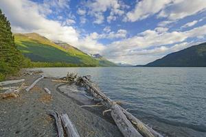 bois flotté sur une éloigné alpin rive photo