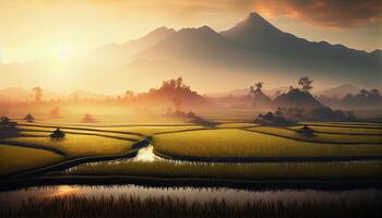 le beauté de le Matin panorama avec lever du soleil et riz des champs. riz champ dans campagne. magnifique or Couleur le coucher du soleil à riz champ. génératif ai. photo