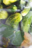 verre pot avec une mariné concombres. cornichons concombres Contexte. photo