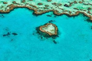 Grande barrière de corail dans le Queensland en Australie photo