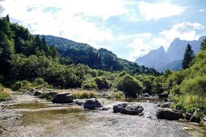 dans le région sauvage photo