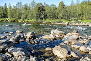 dans le région sauvage photo