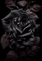 photo noir Rose fleur proche en haut foncé des roses Contexte. produire ai