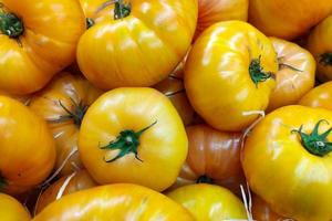 pile de tomates anciennes jaunes photo